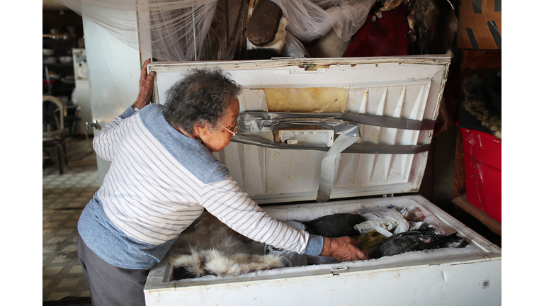 Rising Sea Levels Threaten Remote Alaskan Village Of Kivalina