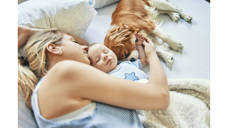 mother napping with her baby and puppy