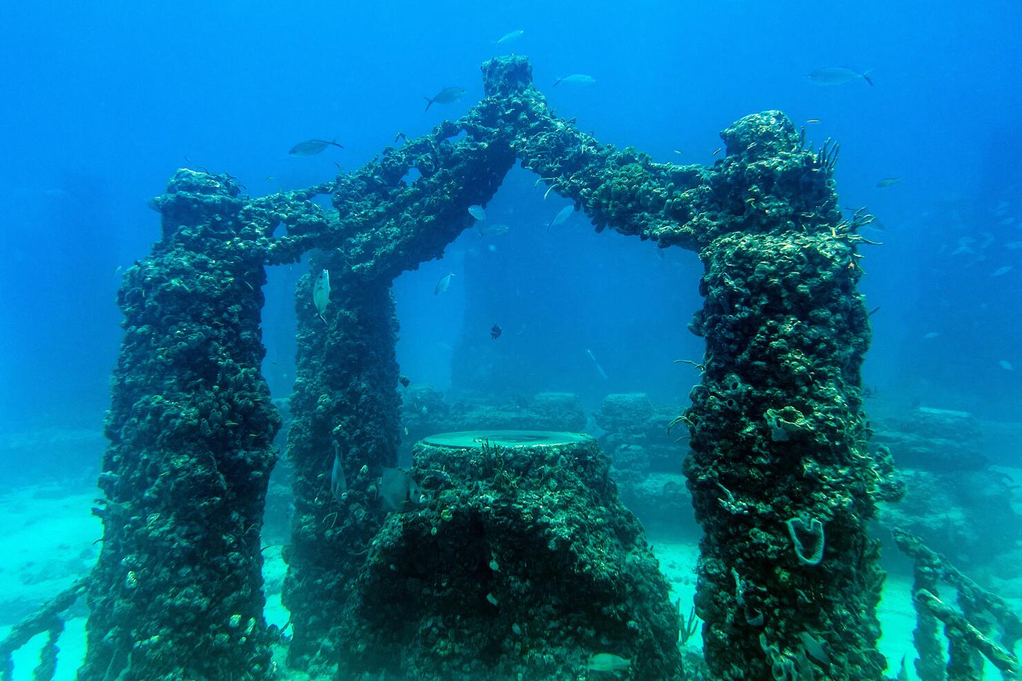 US-ENVIRONMENT-OCEAN-MEMORIAL-REEF