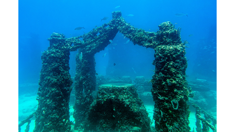 US-ENVIRONMENT-OCEAN-MEMORIAL-REEF