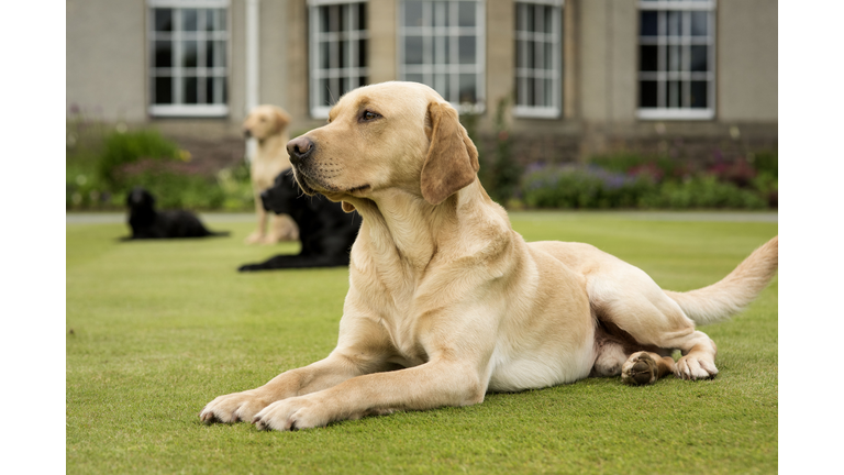 The Gleneagles Season Opener - Press Day 1 - Gleneagles Experiences