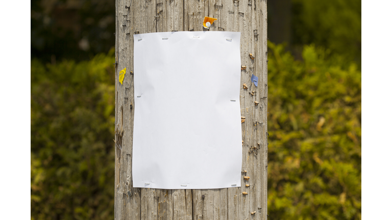 blank sign on telephone pole