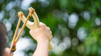 BOY USES SLINGSHOT TO SAVE SISTER FROM ATTEMPTED KIDNAPPING