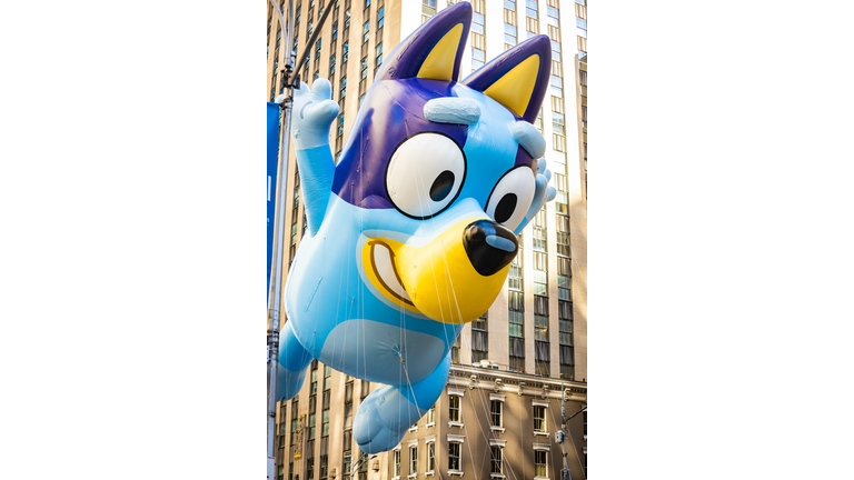 Annual Thanksgiving Macys parade with inflated Bluey character