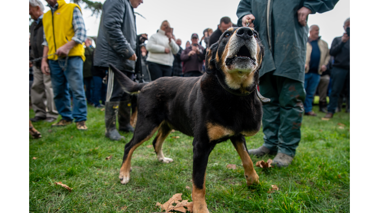 New Zealand Farmers Protest Introduction Of Taxes On Diesel Vehicles