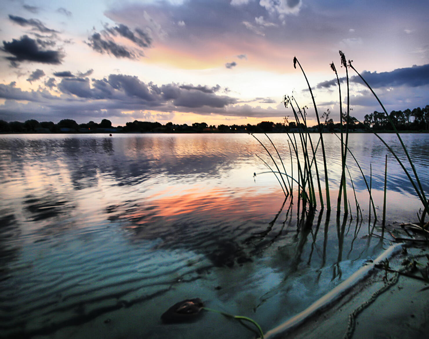 Kissimmee Colors