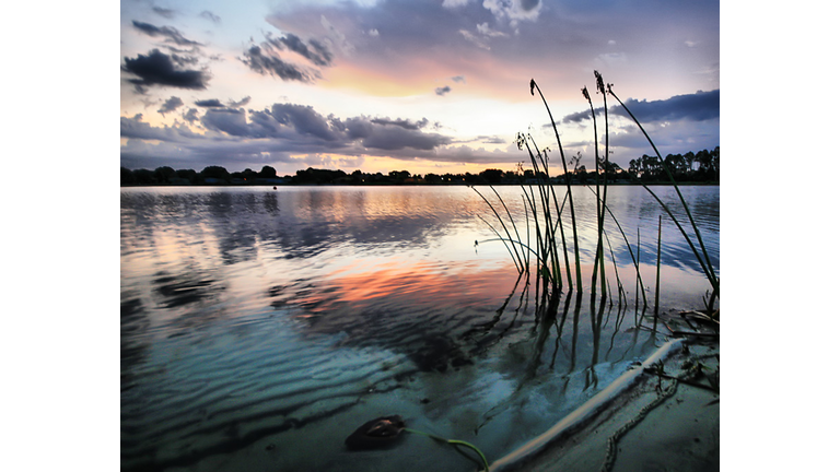 Kissimmee Colors