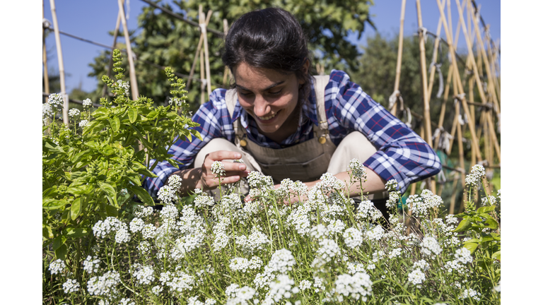 The Honeymoon Effect