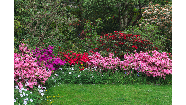 Garden with blooming trees during spring time