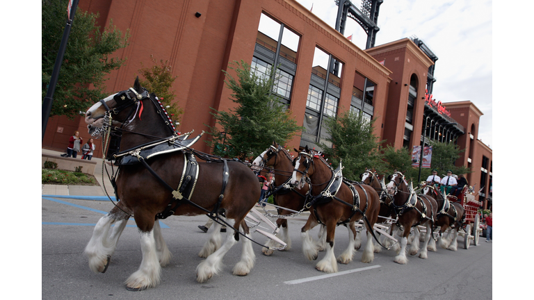 Milwaukee Brewers v St Louis Cardinals - Game Five