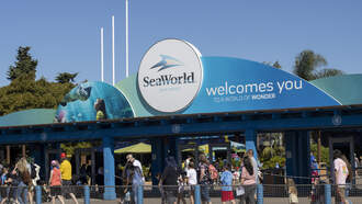 SeaWorld Challenges Lawsuit Claiming Woman Was Hit By Duck On Coaster