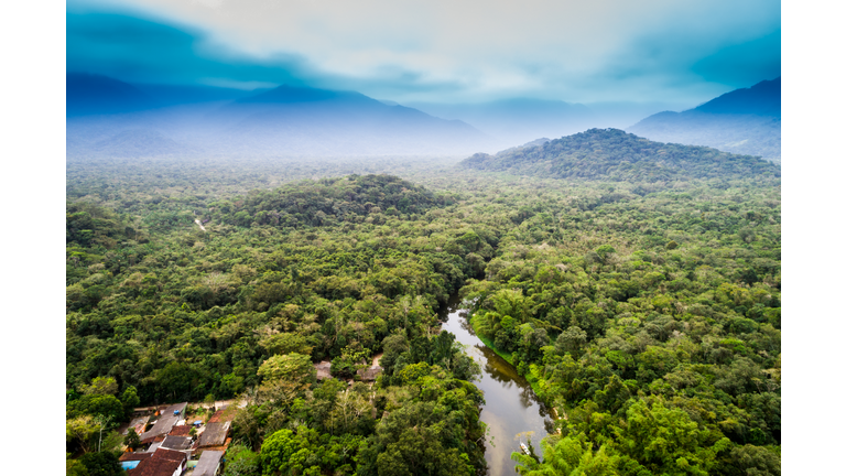 Aerial View of Amazon Rainforest, South America