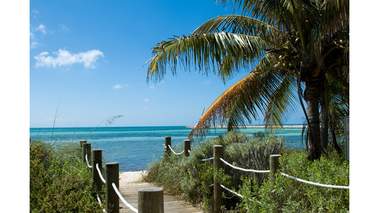 Beach Pathway