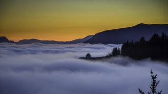 UFO Disclosure / Northwest Cryptids & UFOs