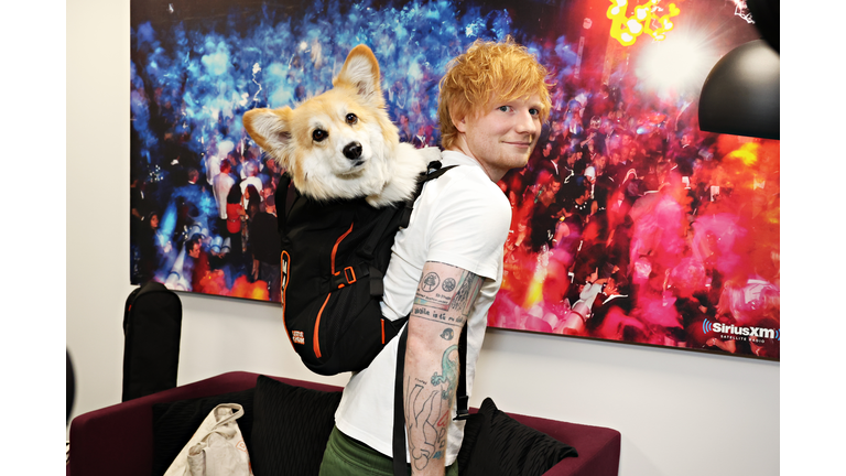 Ed Sheeran Visits SiriusXM's 'The Howard Stern Show'