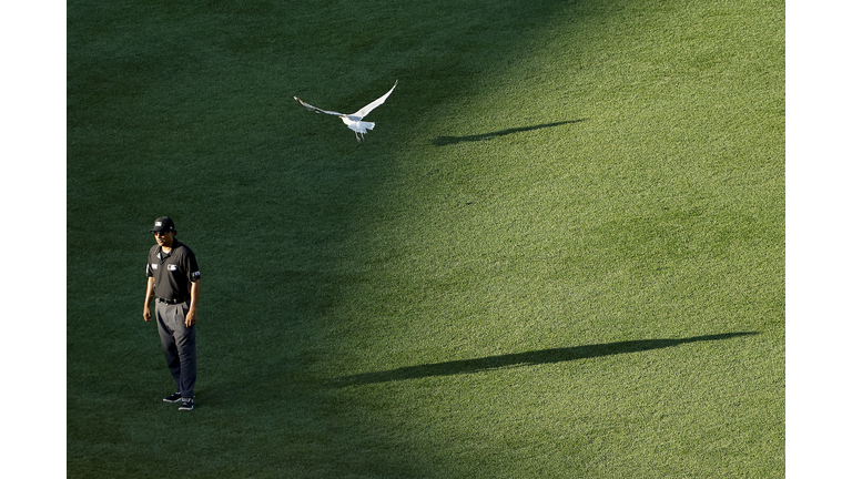 Milwaukee Brewers v Boston Red Sox