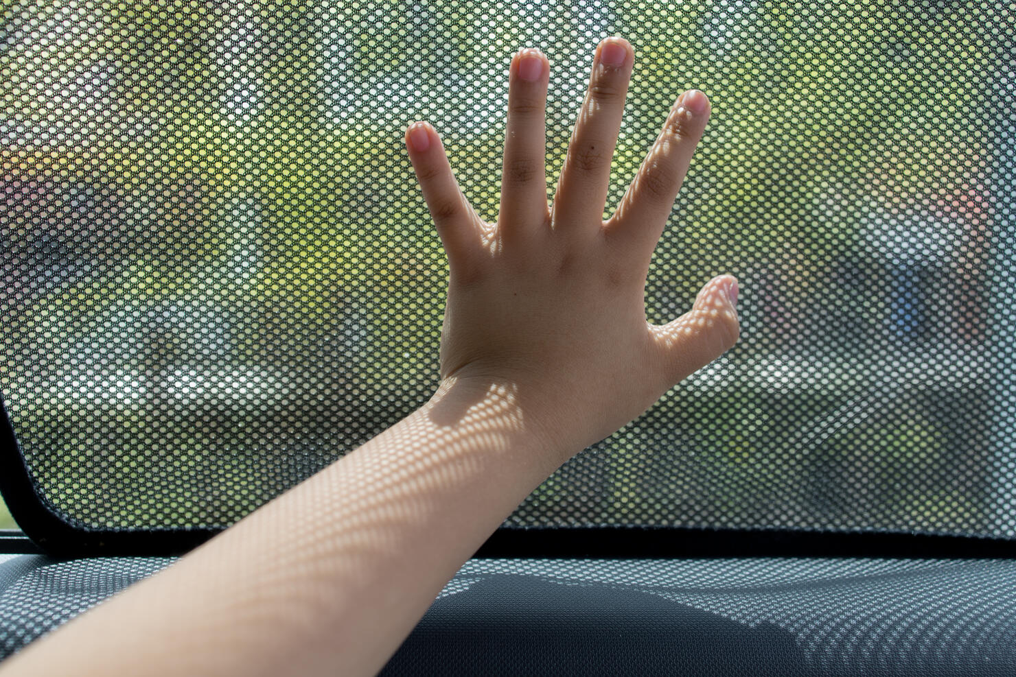 Sunshade in the car side window