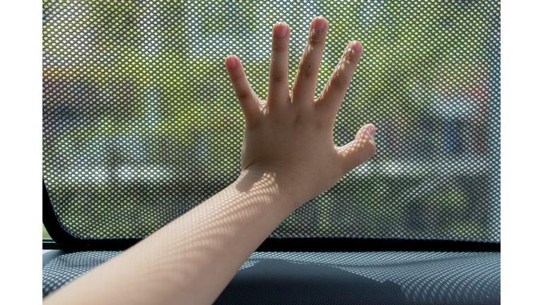 Sunshade in the car side window