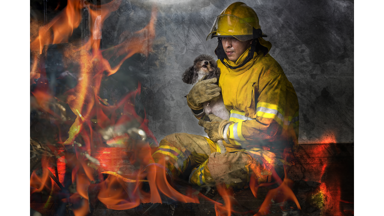 Firefighters help the dog in the burning house.