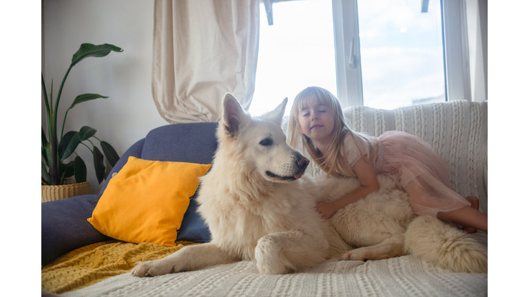 Little girl hugging her big white dog at home on the couch