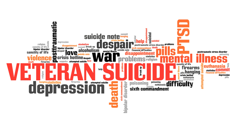 Veteran suicide