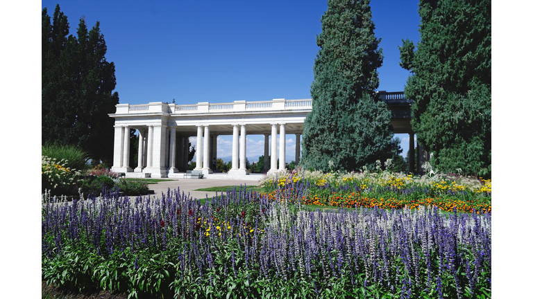 Flowers in bloom at Chessman Park in Denver Colorado