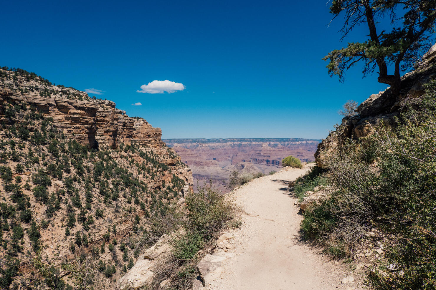 Hiking path at bright angel trail in grand canyon national park