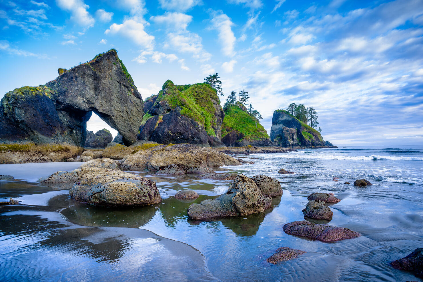 Olympic National Park - Shi Shi Beach