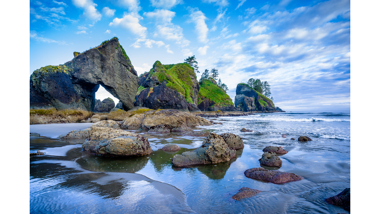 Olympic National Park - Shi Shi Beach