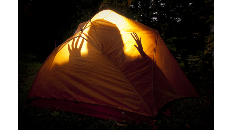 Boogie Monster in the Tent
