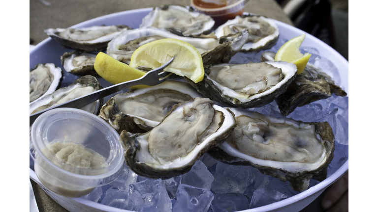 Dozen Raw Oysters