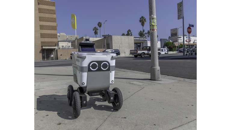 Delivery Robot on Sunset Boulevard