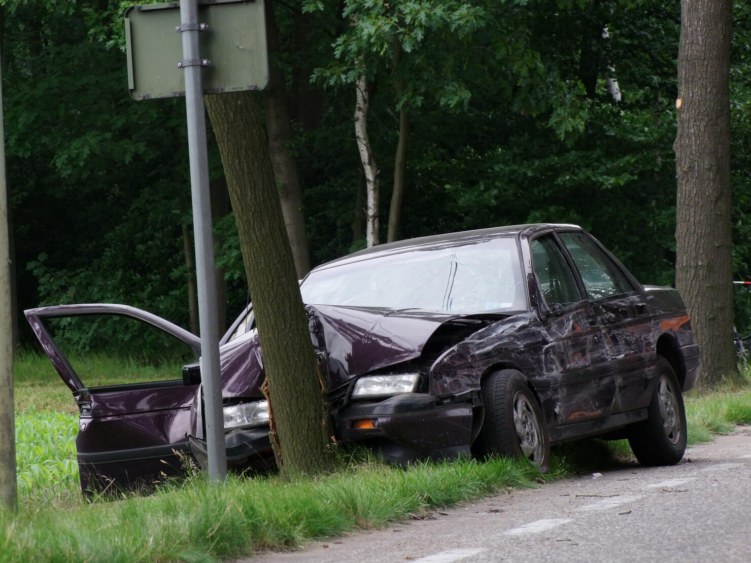 Purple car crashed, head on into a tree near the road 