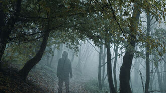 Life & Death of Marilyn / A Strange Investigation