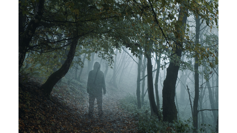 Baffling Disappearances