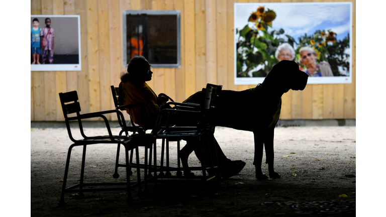 TOPSHOT-FRANCE-LIFESTYLE-ANIMALS-DOGS-FEATURE