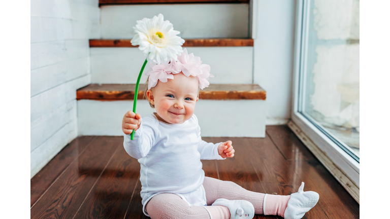 Little baby girl wearing spring wreath siting on floor in bright light living room near window and playing with gerbera flowers