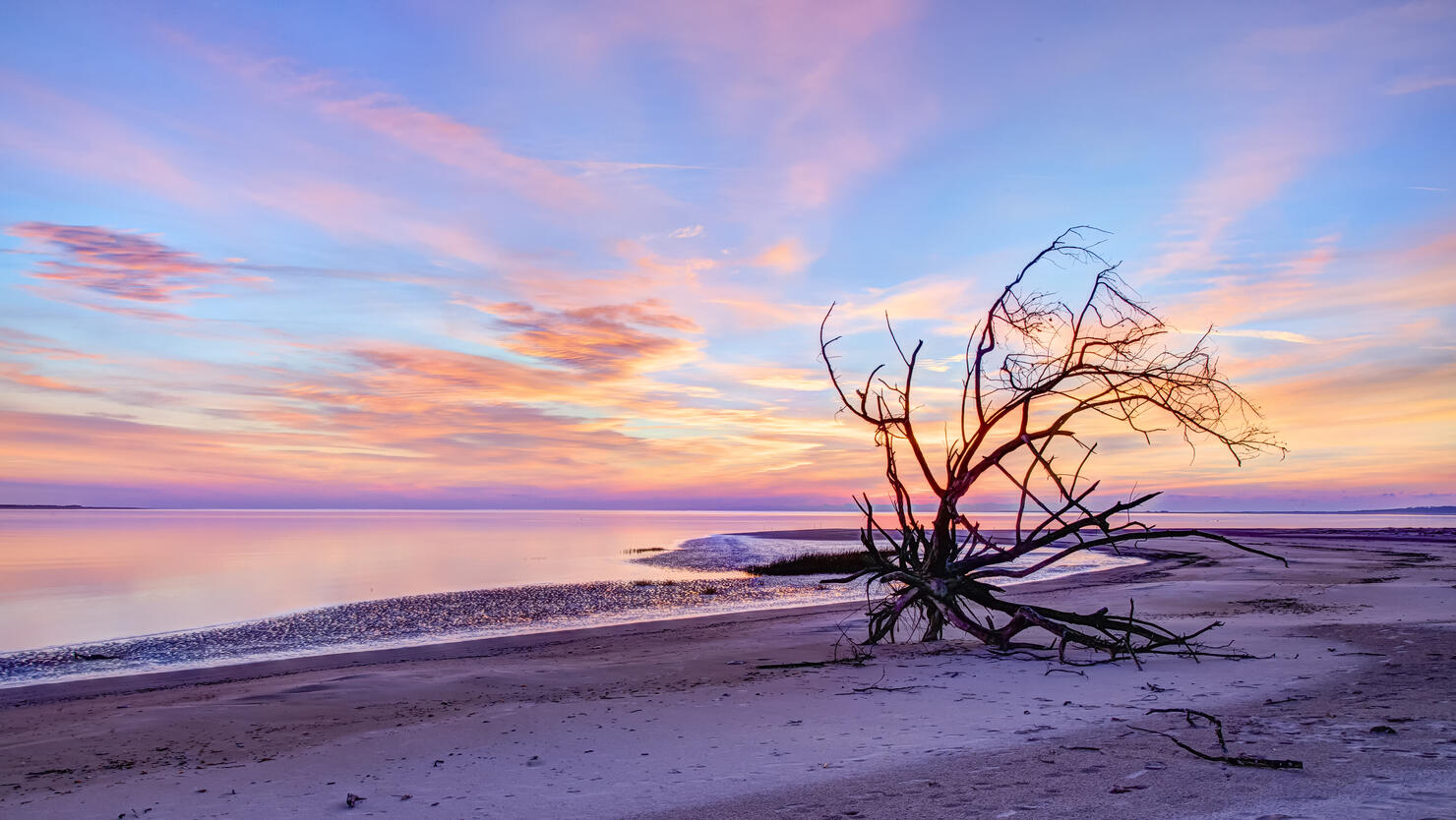 Boneyard Beach
