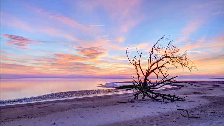 Boneyard Beach