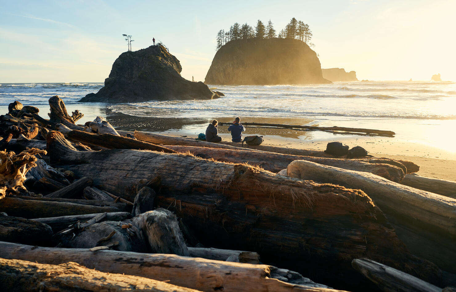 Couple sitting on logs at beach during sunset in Washington