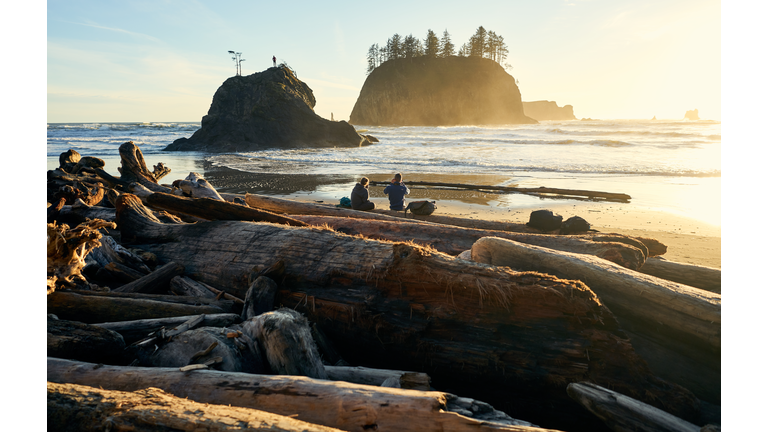 Couple sitting on logs at beach during sunset in Washington