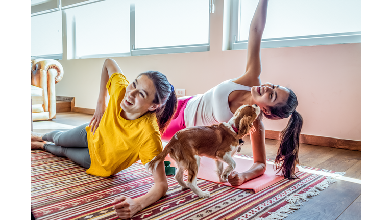 friends exercising together at home in the company of the dog