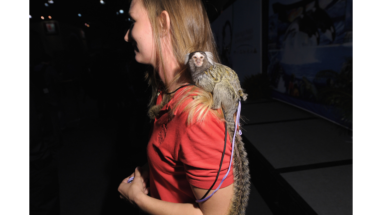 The New York Times 2012 Travel Show