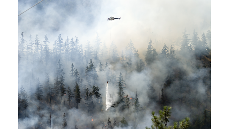 Firefighting a forest fire with white smoke