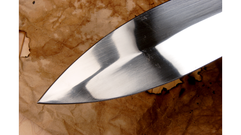 3,000-year-old sword found in Germany 'almost still shines'