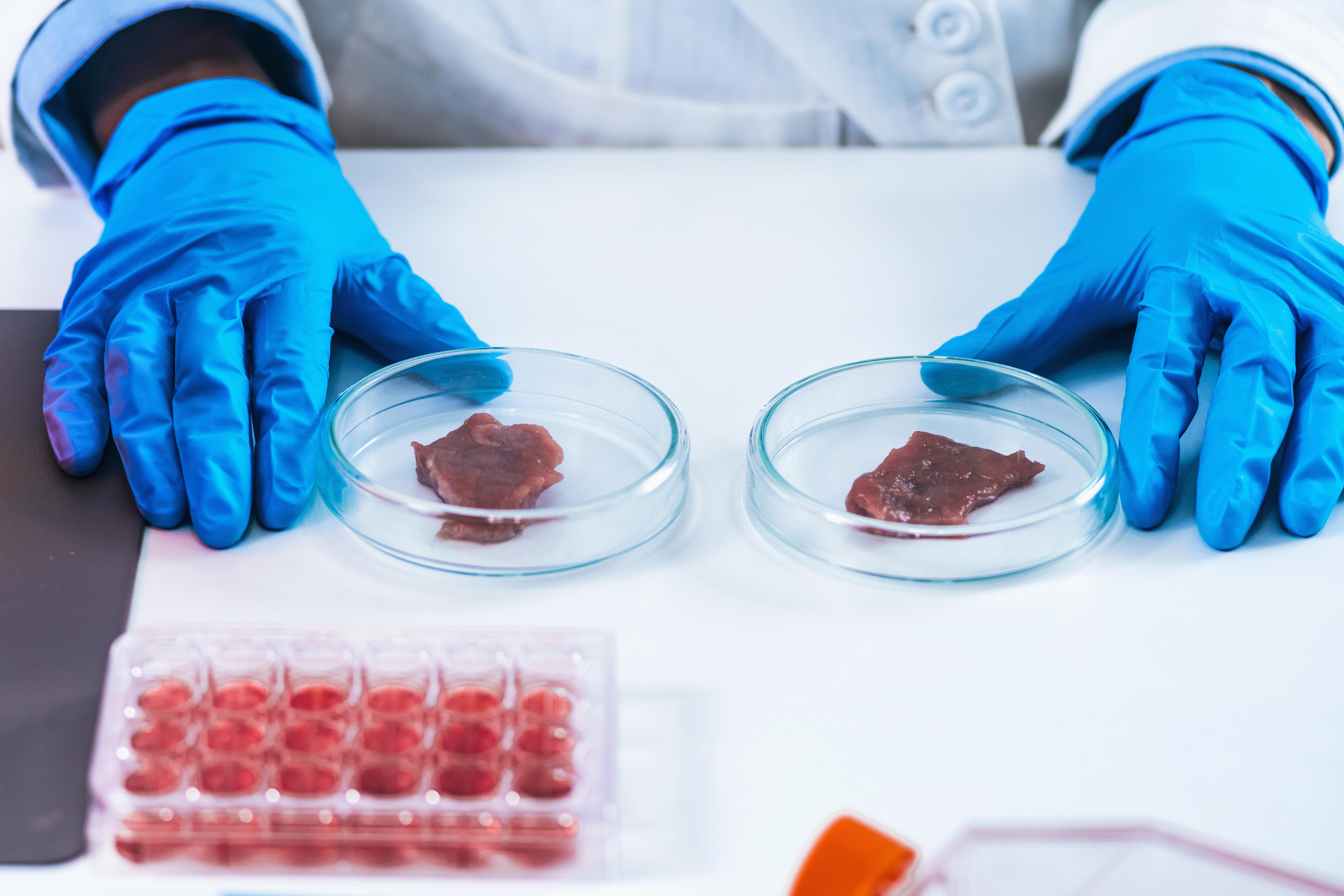 Lab Grown Meat Approved For Sale In United States Iheart