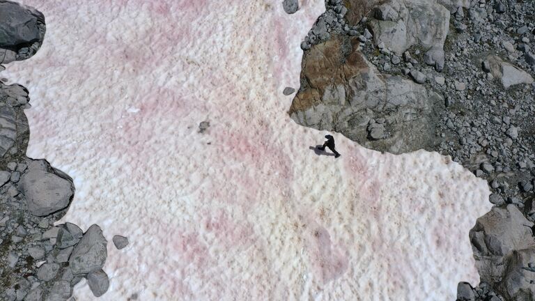 ITALY-MOUNTAIN-ENVIRONMENT-SNOW-ALGAE