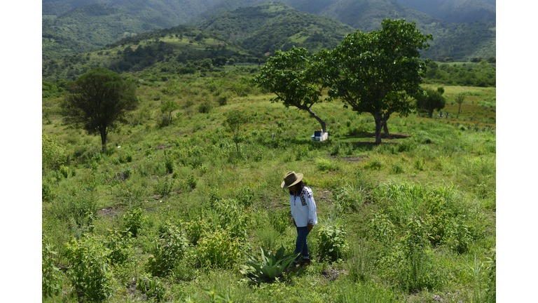 MEXICO-MEZCAL-CRAFT DISTILLERS-WOMEN