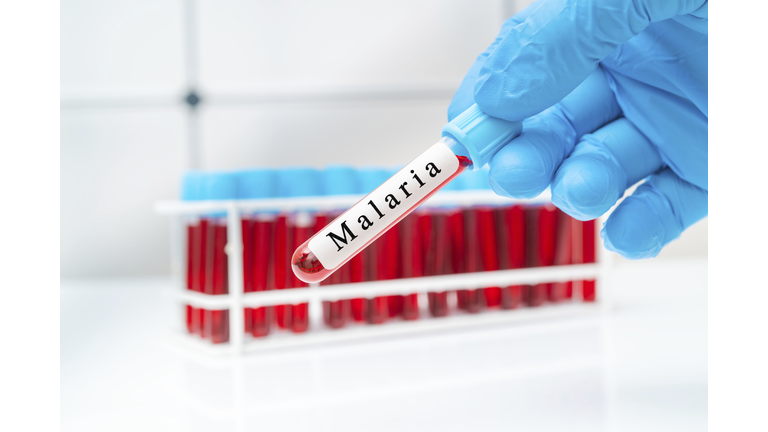 Malaria blood test, conceptual image