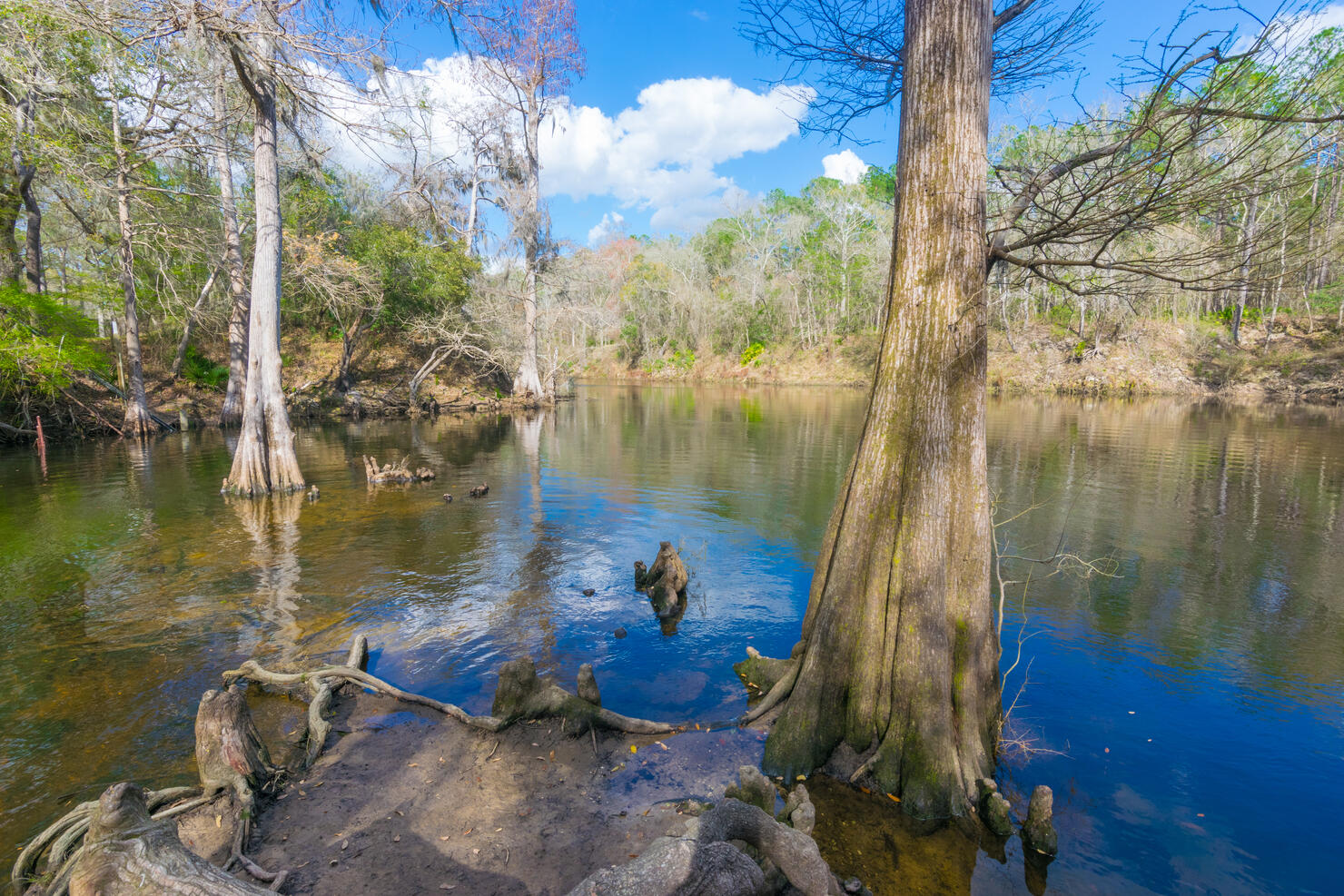 Madison Blue Spring, Withlacoochee River
